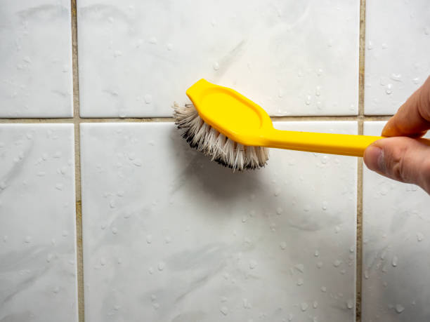 Best Office Mold Removal Services  in Paynesville, MN