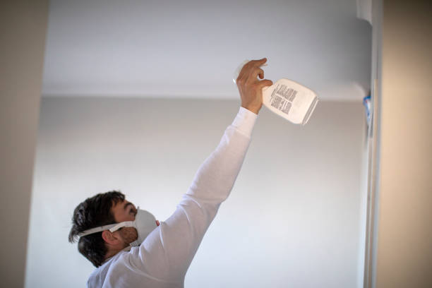 Professional Mold Removal in Paynesville, MN
